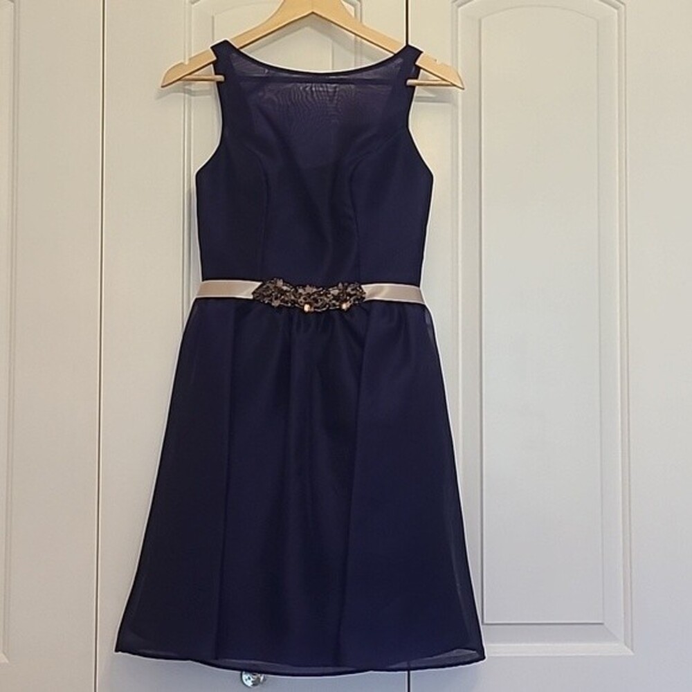 Noir by Lazaro Dress Purple Organza w/Gold Detail Beaded Belt Size 4
